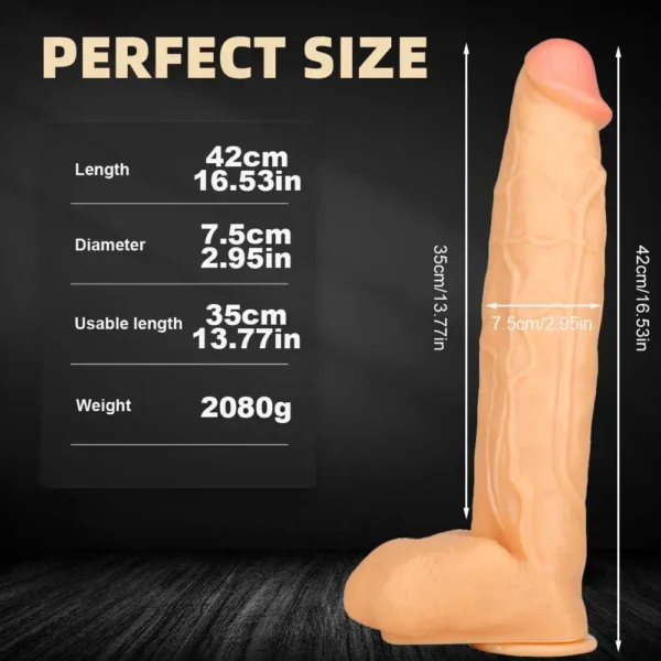 C117 42CM X 7,5CM 3 MÀU LỰA CHỌN