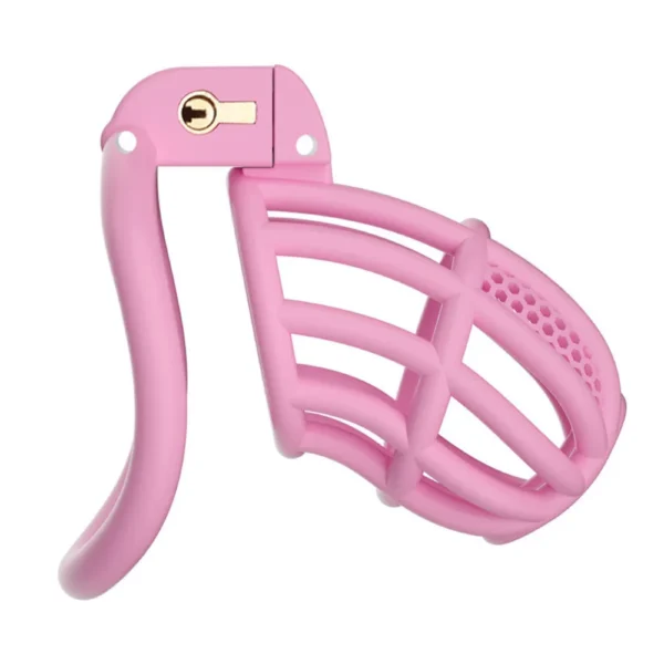 KHÓA DƯƠNG VẬT C755 HỒNG SIZE M (80G)