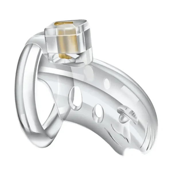 KHÓA MYSTERY TRONG SUỐT